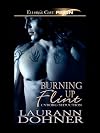 Burning Up Flint