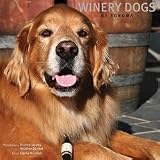 Search : Winery Dogs of Sonoma