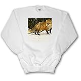 Wild animals - Red Fox - Sweatshirts