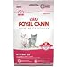 Royal Canin Feline Health Nutrition Kitten 36 3.5 lbs.