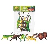 Insects & Reptiles