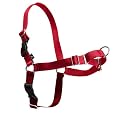 Premier Easy Walk Medium Harness, Red