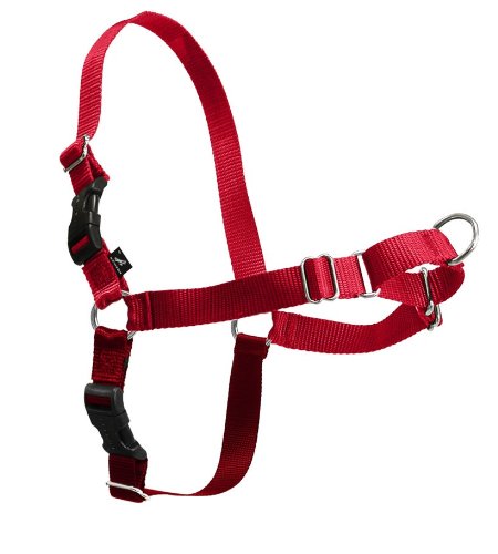 Pet Safe EW-H-XS-RD-45 Easy Walk Harness Extra Small, rot im Preisvergleich 