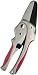 Search : Toro Ratcheting Pruners #29206