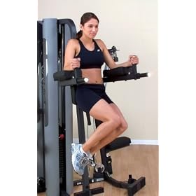 Vertical Knee Raise for Body Solid G9S