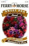 Ferry-Morse Annual Flower Seeds 1159 Sweet Peas - Jet Set Mixed Color 2.25 Gram Packet