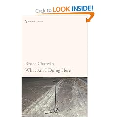 What Am I Doing Here? (Vintage classics)