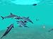 My Ocean Sim [Download] image 4