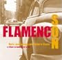Flamenco Son
