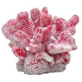 Blue Ribbon MINI CAULIFLOWER CORAL PINK