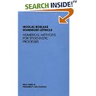 Numerical Methods for Stochastic Processes by  Nicolas Bouleau and Dominique L�pingle