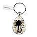 REALBUG Black Scorpion Key Chain Tear Drop Clear