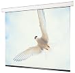 Draper 116022 133-Inch Targa HDTV Motorized Screen (Matte White)
