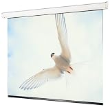  : Draper 116022 133-Inch Targa HDTV Motorized Screen (Matte White)