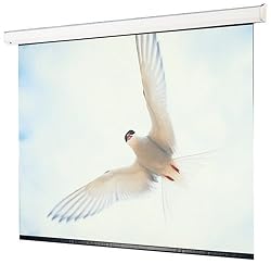 Draper 116022 133-Inch Targa HDTV Motorized Screen (Matte White)