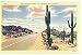 Out Wickenburg Way Highway 60 Arizona