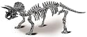 Mega Bloks MagNext Tri -Top Magna Bones