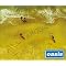 Listen to Oasis? Well, then here in an OBJECTIVE critique!
