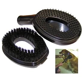 Pet Brush