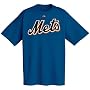 New York Mets Official Wordmark Short Sleeve T-Shirt