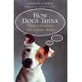 How Dogs Think