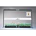 Green Thumb Jump Start 2 Foot 24"
