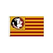 Florida State NCAA 3' x 5' Single Sided Banner Flag by BSI Products Inc.