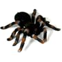 Uncle Milton Radio Control Tarantula