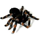 Uncle Milton Remote Control Tarantula