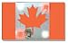 LED Flashing Canadian Flag Pin