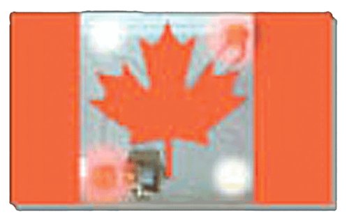 Childrens Toyshop  Toys : LED Flashing Canadian Flag Pin