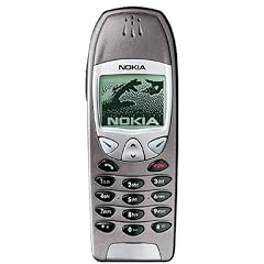 Nokia 6210 Handy grey