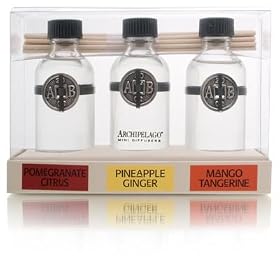 Archipelago Botanicals Signature Series Mini Fragrance Diffusers Aroma Diffusers