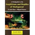A Field Guide to the Amphibians & Reptiles of Madagascar