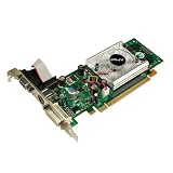 PNY Verto VCG84R2SXPB Geforce 8400GS 256MB PCI Express 2.0 DVI+VGA+HDTV/SDTV Video Card