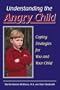 Understanding the Angry Child: Coping Strategies for You and Your Child