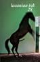 Lacanian Ink 28 - Profane Illuminations