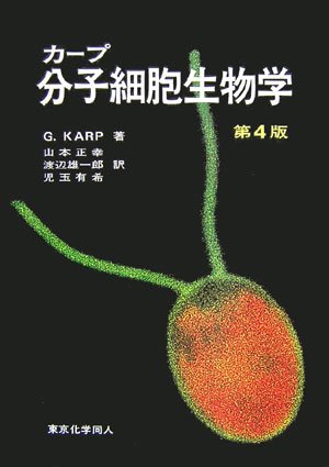 実戦・日本語の作文技術の画像-1_7-B(0)