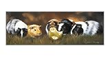 It s a Pets  Life - Guinea Pigs Blank Card