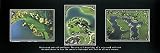 Golf Focus (Be Focused...) -- Print
