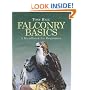 Falconry Basics: A Handbook for Beginners
