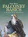 Falconry Basics