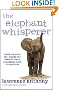 The Elephant