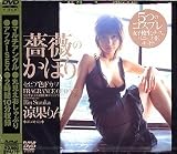 薔薇のかほり セピア色のFカップ [DVD]