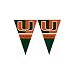 Sporting Goods : Miami Hurricanes NCAA 25Ft String Of 6'' x 9'' Party Pennants (Flags)