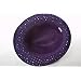 41X67fgFaQL. AA75  Sparkle Glitter Fedora / Purple / Red Hat Lady Society