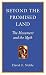 Book Beyond the Promised Land (Provocations)