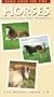 Horses - Close Up and Very Personal [VHS]