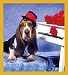 Basset & Piano Bookmark Image