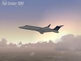 Microsoft Flight Simulator 2004: A Century of Flight